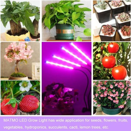 matmo flower
